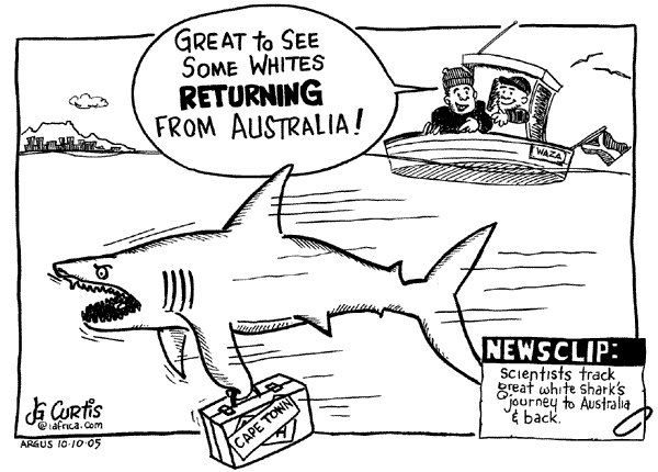 JG Curtis - The Return of the Great Whites