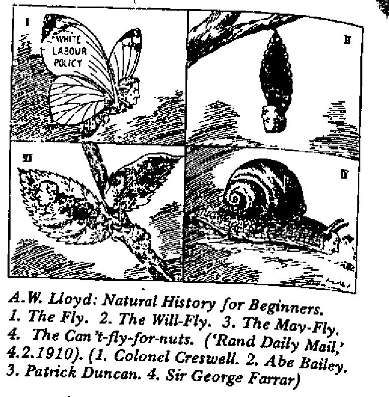 A. W. Lloyd - Natural History for Beginners