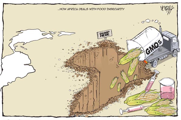 food insecurity in Africa