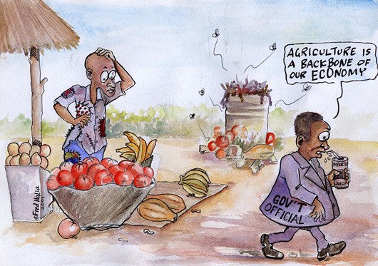 Fred Halla – Agriculture is a Backbone of our Economy Africa Cartoons