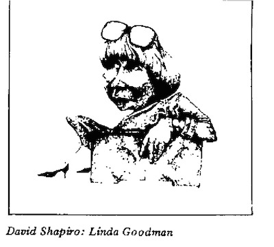 David Shapiro - Linda Goodman cartoon